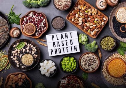 منابع پروتئین برای گیاهخواری