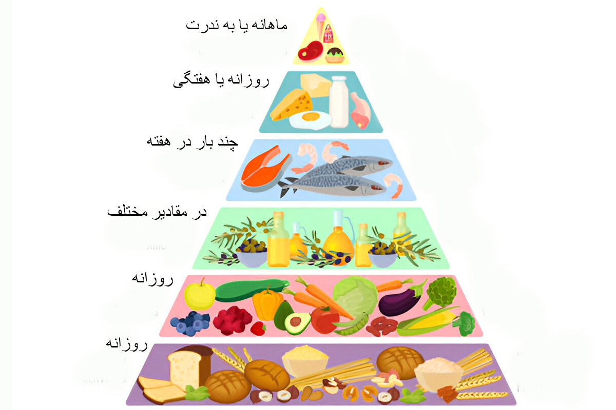 تصویر نمودار هرمی برای رژیم مدیترانه ای