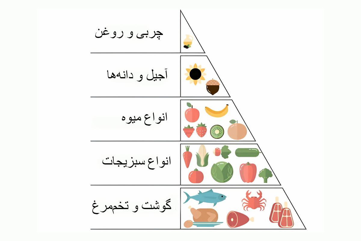 غذاهایی که می‌توانید در رژیم پالئو بخورید