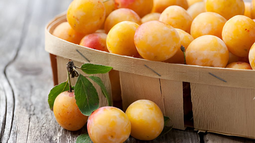 تاثیر آلو در رژیم کتوژینیک