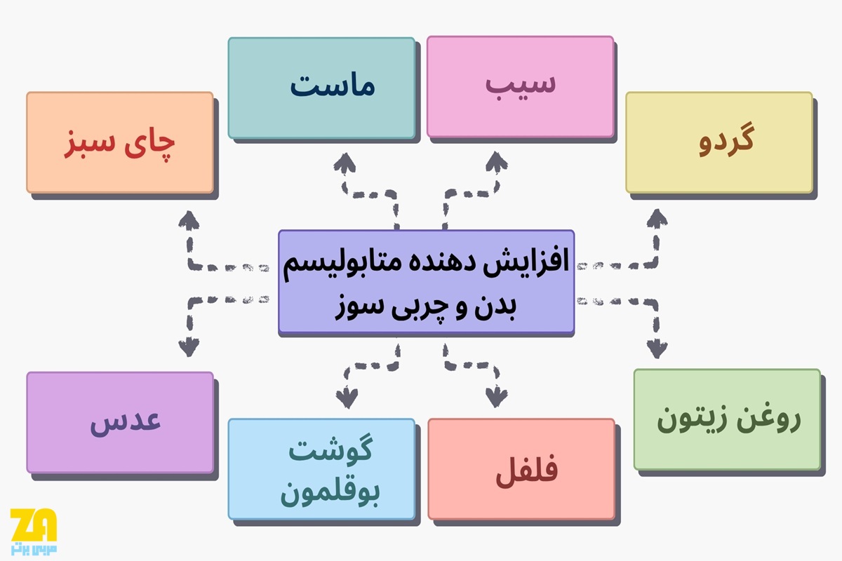 افزایش دهنده های متابولیسم بدن و چربی سوز