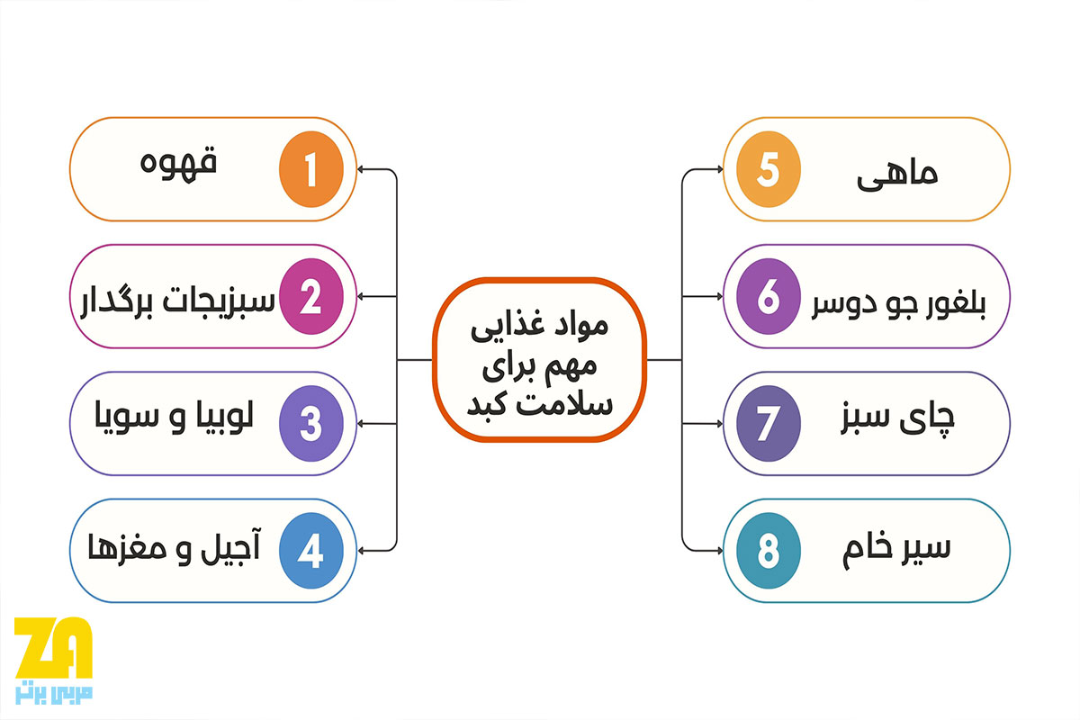 مواد غذایی مهم برای سلامت کبد در رژیم مدیترانه ای