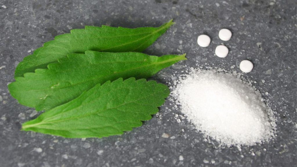 استویا در فستینگ