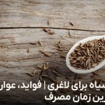 زیره سیاه برای لاغری